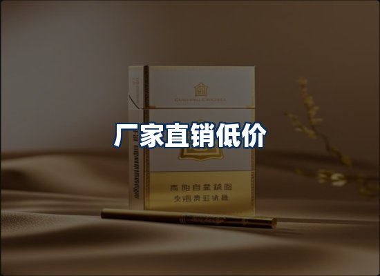 专业团队办公环境